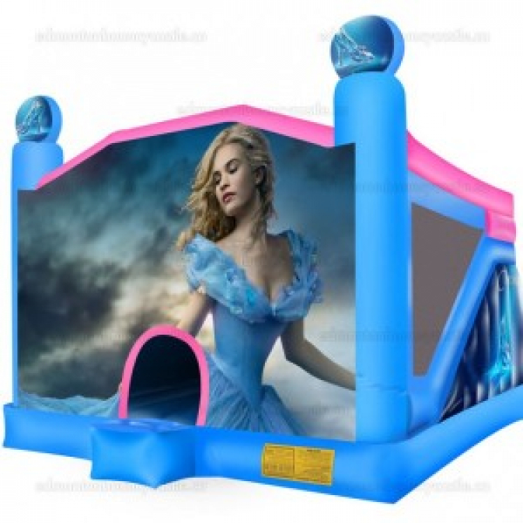 Cinderella Castle and Slide